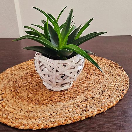 Apartamente Elegante In Regim Hotelier ヤシ エクステリア 写真