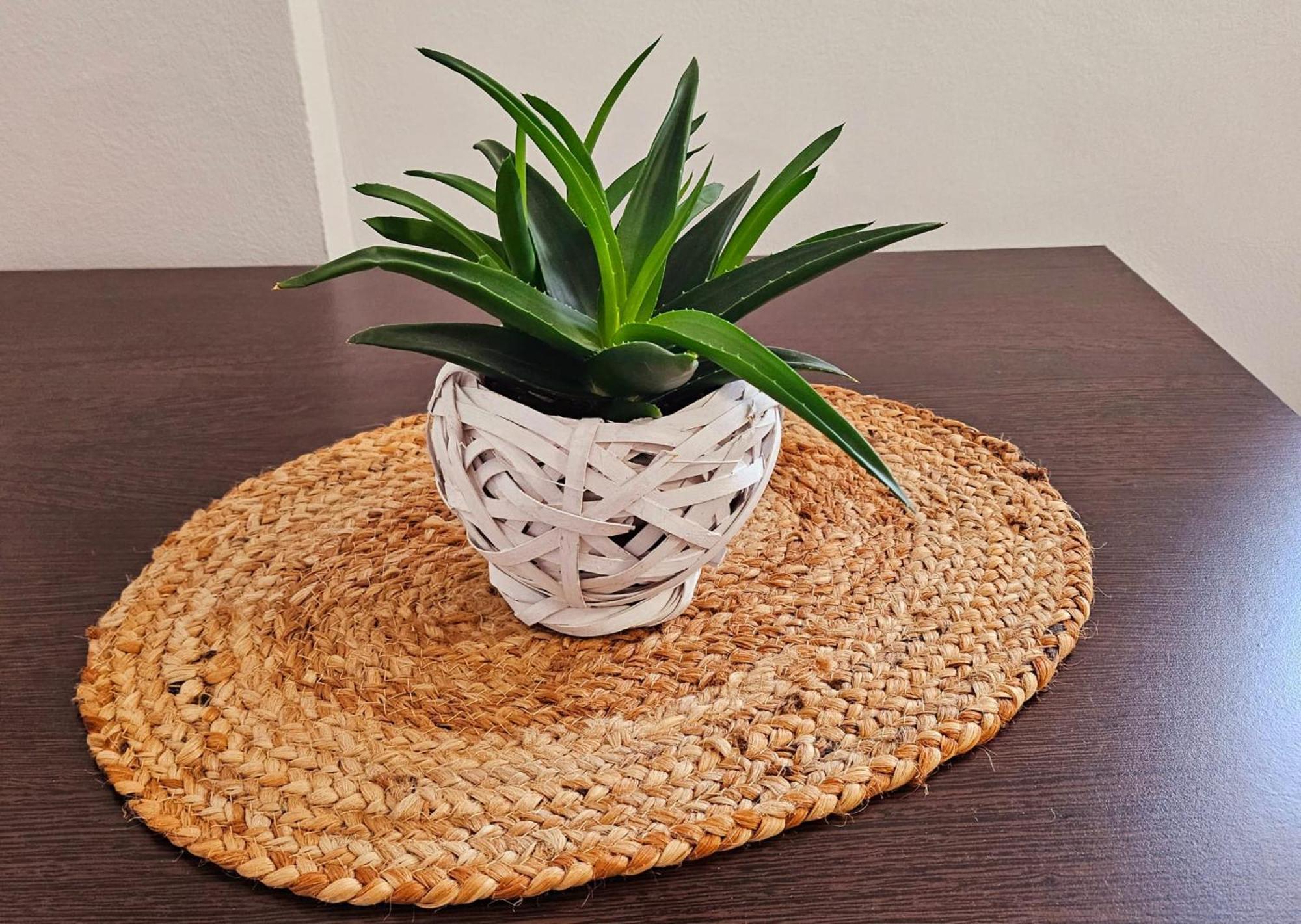 Apartamente Elegante In Regim Hotelier ヤシ エクステリア 写真